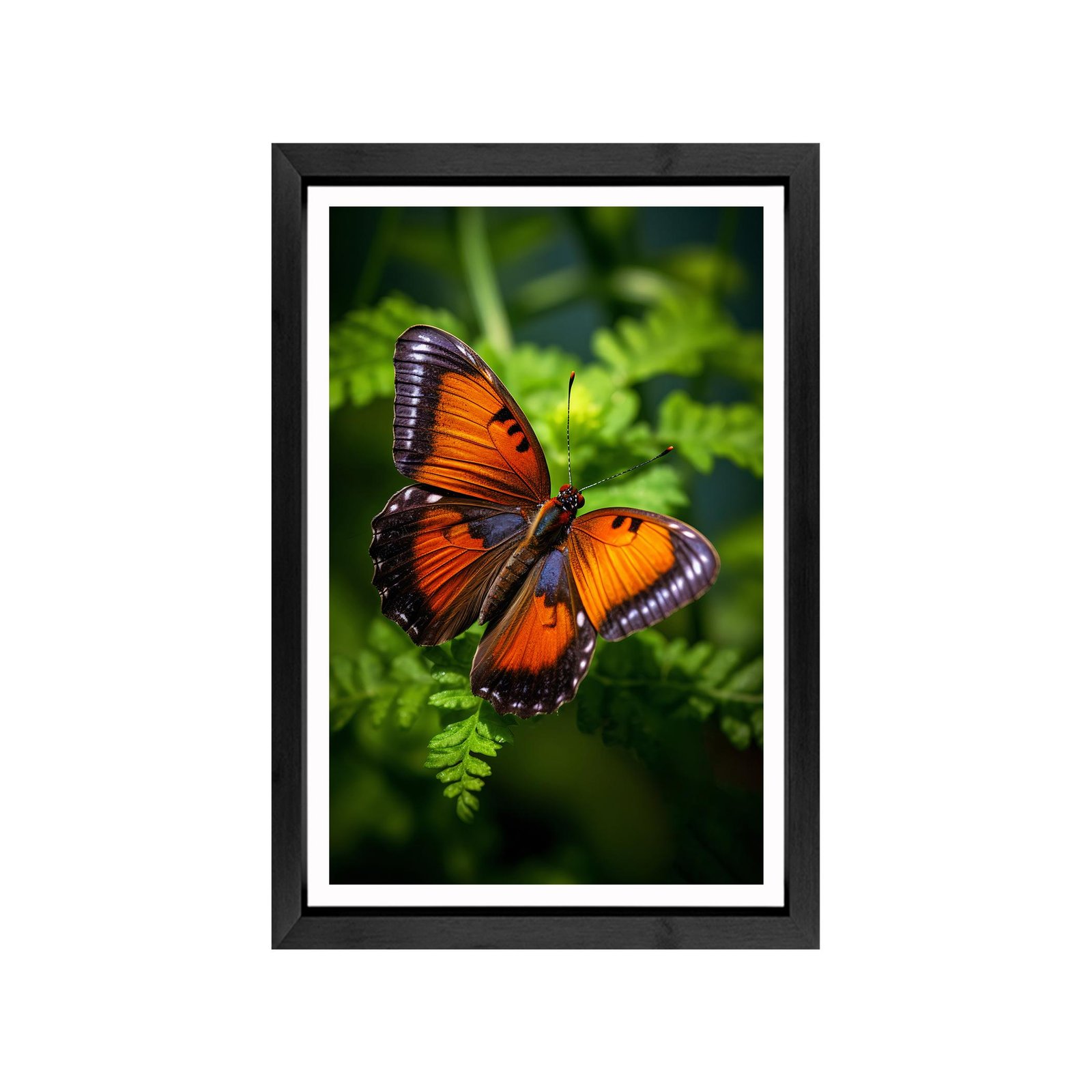 Butterfly Canvas Wall Art